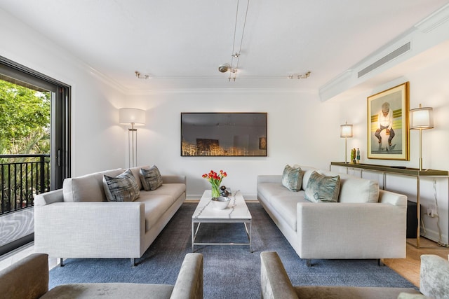 living room with crown molding and rail lighting