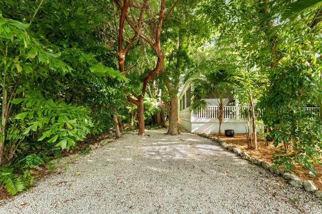 33 Pen Key Dr, Islamorada, FL 33036 - view of yard