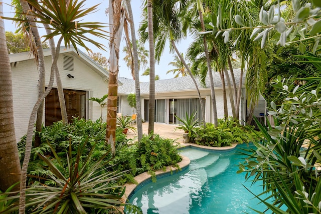 view of pool featuring a patio area