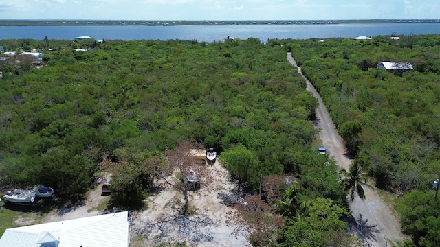 27821 Leeward S Rd, Little Torch, FL 33042 - aerial view of a large body of water
