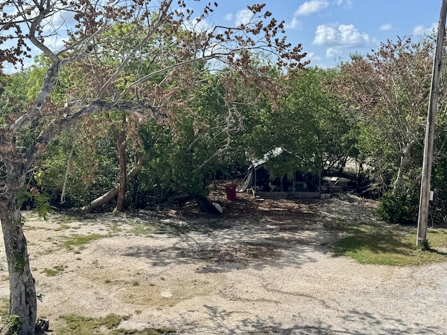 27821 Leeward S Rd, Little Torch, FL 33042 - view of yard