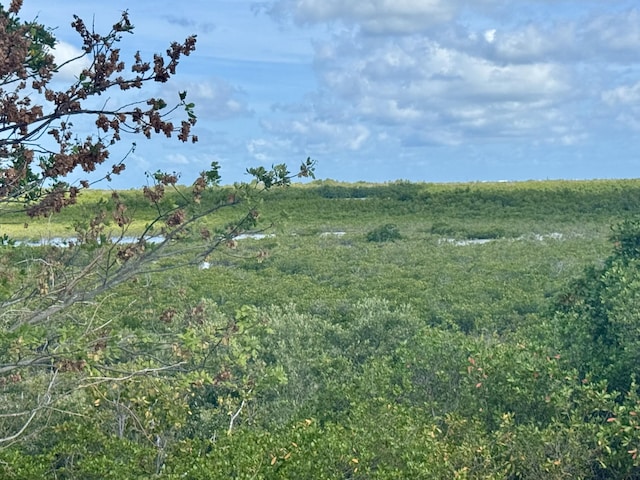 27821 Leeward S Rd, Little Torch, FL 33042 - view of nature