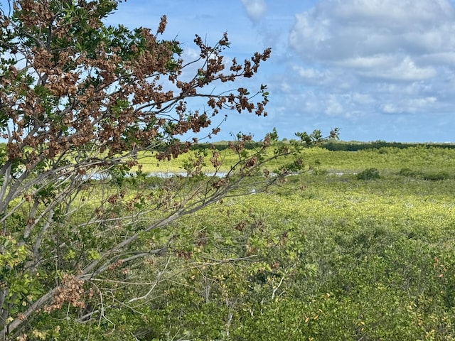 27821 Leeward S Rd, Little Torch, FL 33042 - view of undeveloped land