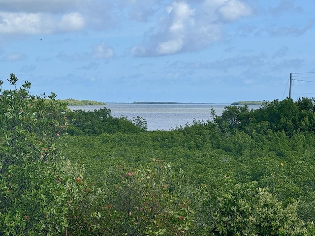 27821 Leeward S Rd, Little Torch, FL 33042 - water view