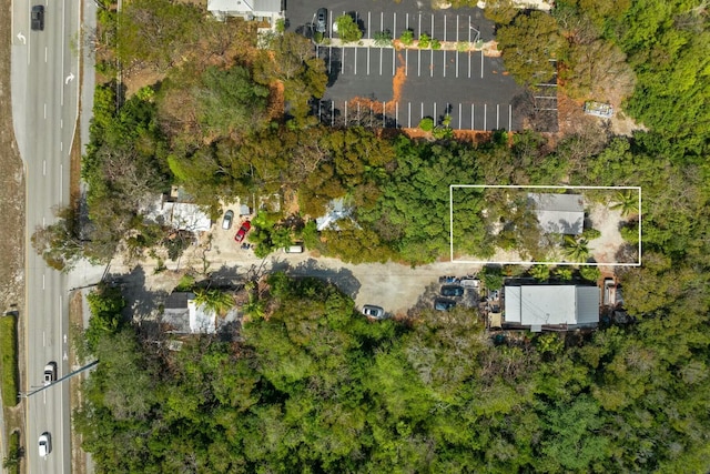 125 Tree Ln, Tavernier, FL 33070 - photo 27