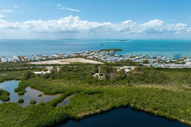 125 Tree Ln, Tavernier, FL 33070 - photo 28