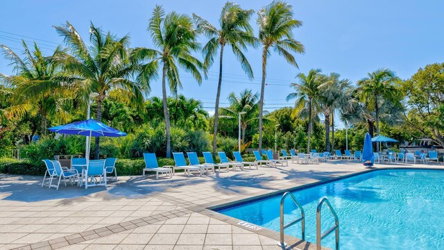 view of pool with a patio