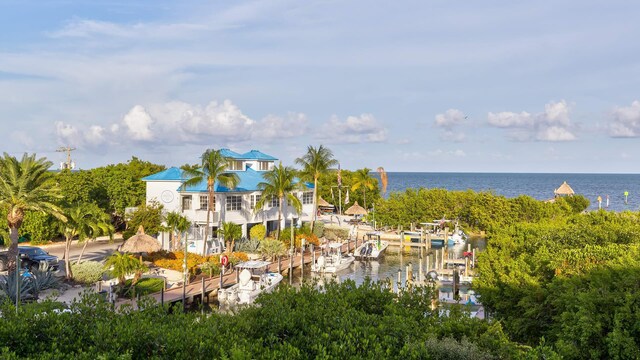 view of water feature with a boat dock