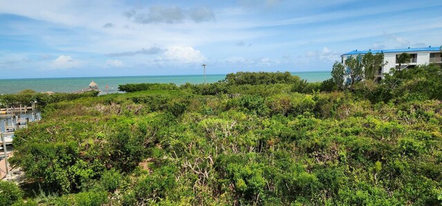 property view of water