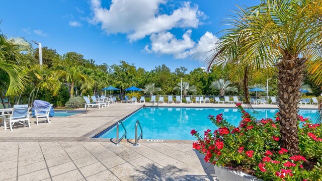 view of pool with a patio area