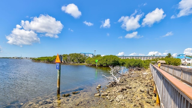 property view of water