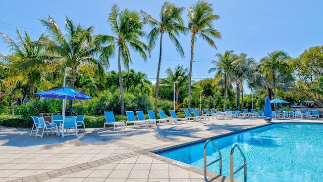 view of pool with a patio area