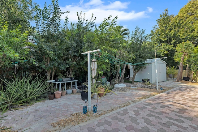 view of patio with an outbuilding and a storage shed