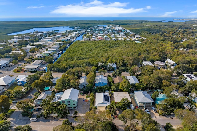 bird's eye view featuring a wooded view and a water view