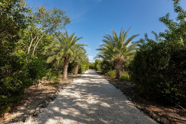 view of road