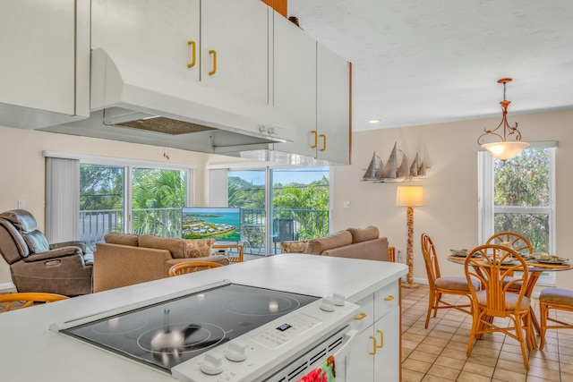12690 Overseas Hwy Unit 52, Marathon, FL 33050 - kitchen with open floor plan, a healthy amount of sunlight, under cabinet range hood, and range with electric stovetop
