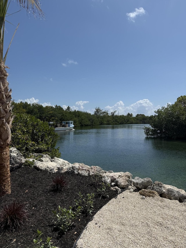 view of water feature