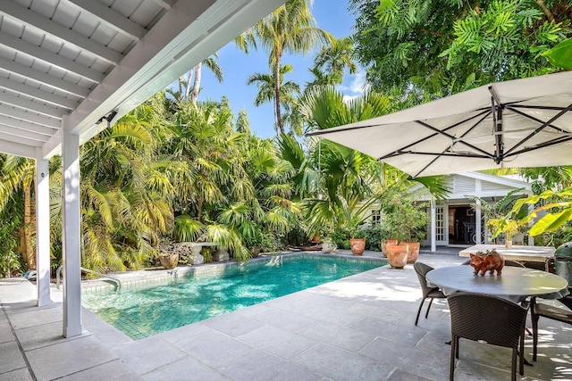 view of swimming pool with a patio