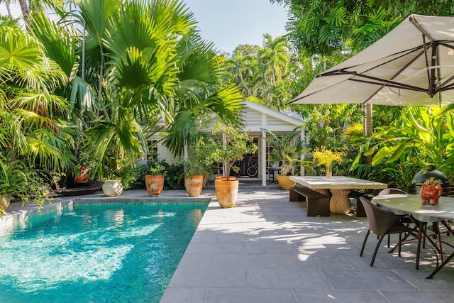 view of pool featuring a patio and an outdoor structure