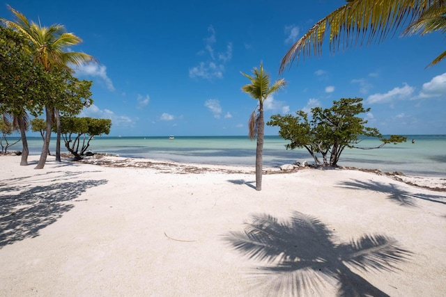 water view with a beach view