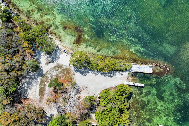 145 Plantation Blvd, Islamorada, FL 33036 - photo 63