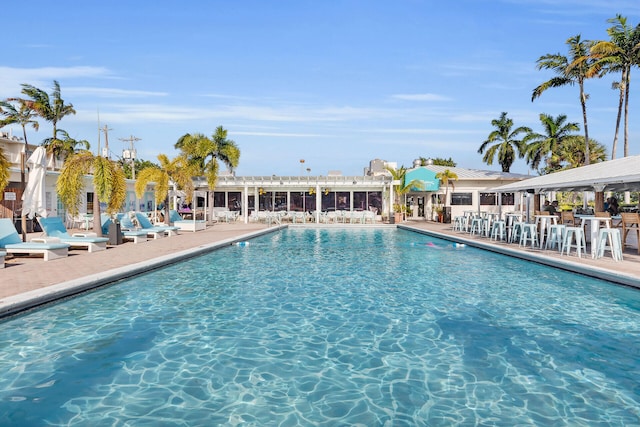 view of pool featuring a patio