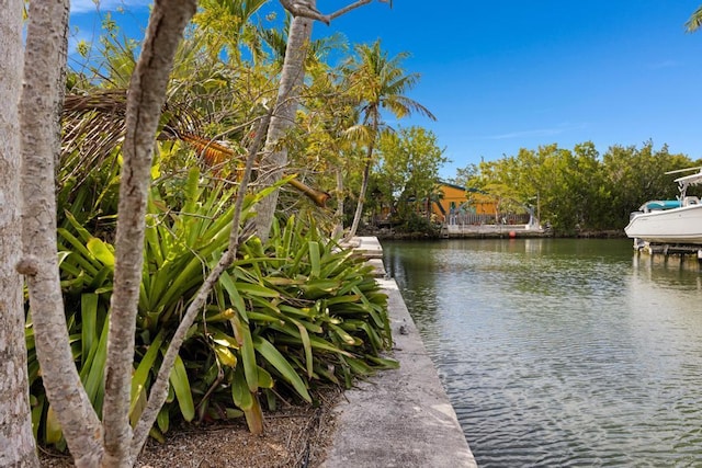 view of water feature