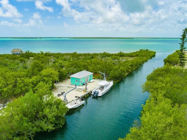 4500 Filer Cove Rd, Big Torch, FL 33042 - aerial view of property and surrounding area with a nearby body of water
