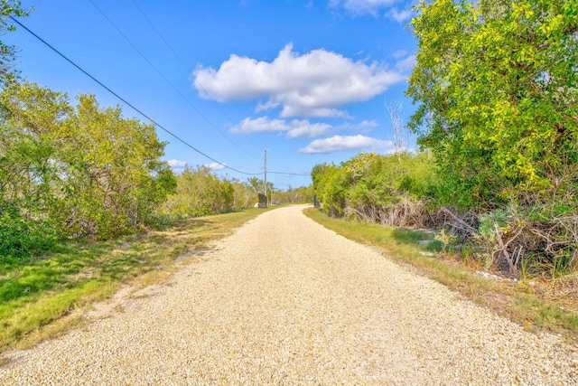 4500 Filer Cove Rd, Big Torch, FL 33042 - view of road