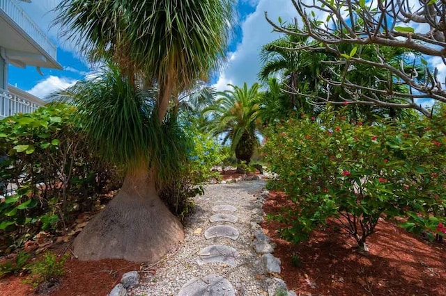 4500 Filer Cove Rd, Big Torch, FL 33042 - view of yard