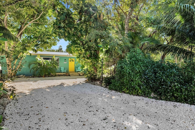 view of property hidden behind natural elements with driveway