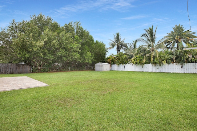 view of yard with a patio area and a storage unit