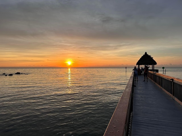 dock area featuring a water view