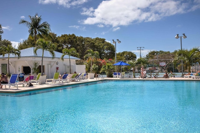 view of swimming pool with a patio area