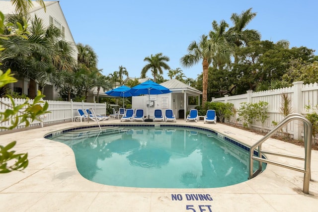 view of pool with a patio