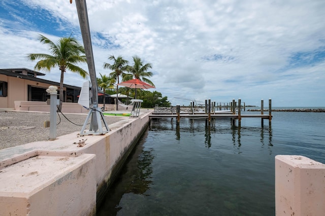dock area with a water view