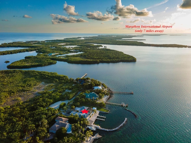 drone / aerial view with a water view