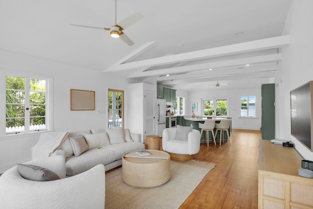 1029 United St, Key West, FL 33040 - photo 8