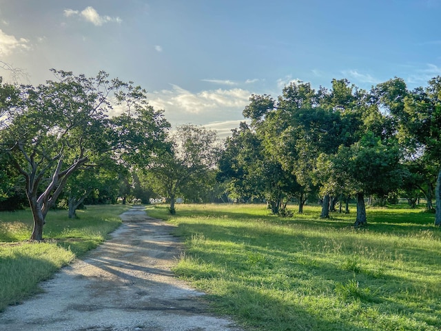 view of road