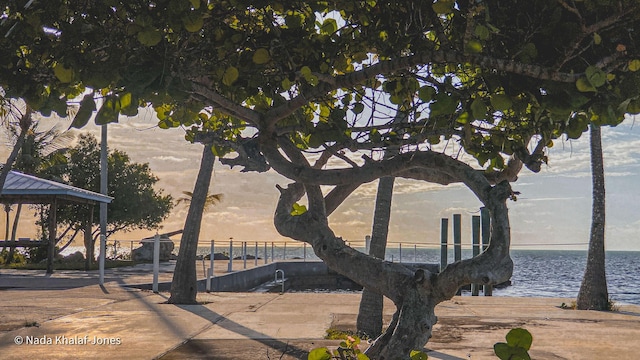 view of property's community featuring a water view