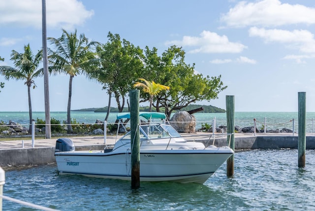 dock area featuring a water view