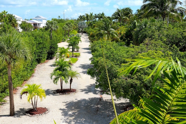 2950 Overseas Hwy Unit 50, Saddle Bunch, FL 33040