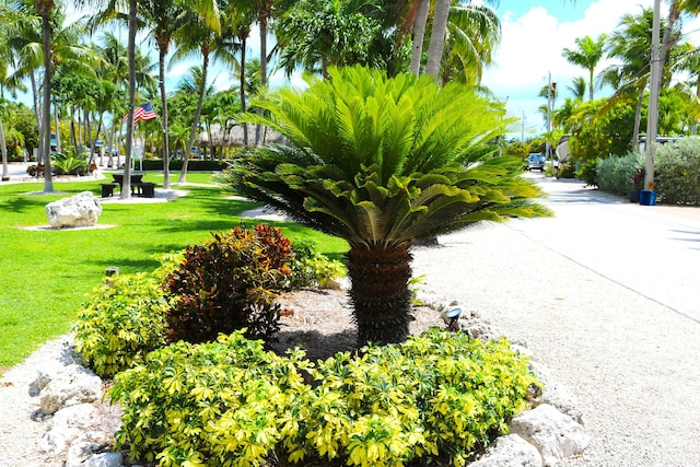 2950 Overseas Hwy Unit 50, Saddle Bunch, FL 33040