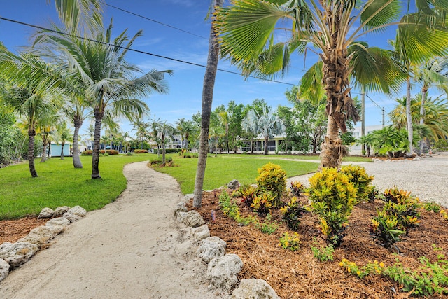 1514 Shaw Dr, Key Largo, FL 33037 - view of home's community featuring a lawn