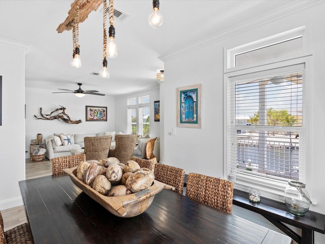 living room with crown molding, ceiling fan, and wood finished floors