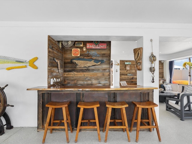 indoor dry bar featuring carpet