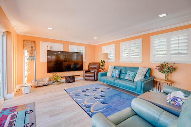 24 Cactus Dr, Big Coppitt, FL 33040 - living area featuring baseboards, wood finished floors, and ornamental molding