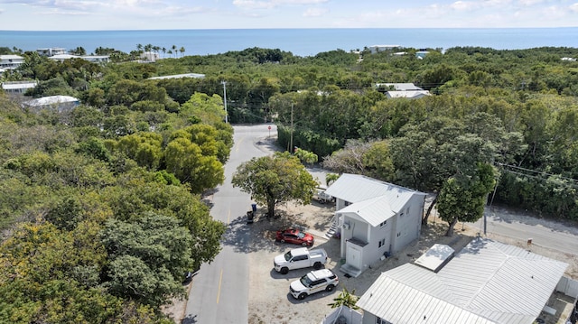 drone / aerial view with a water view and a view of trees