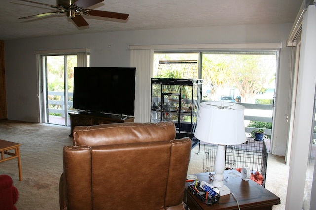 living room with ceiling fan and carpet