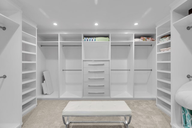 spacious closet featuring radiator and light colored carpet